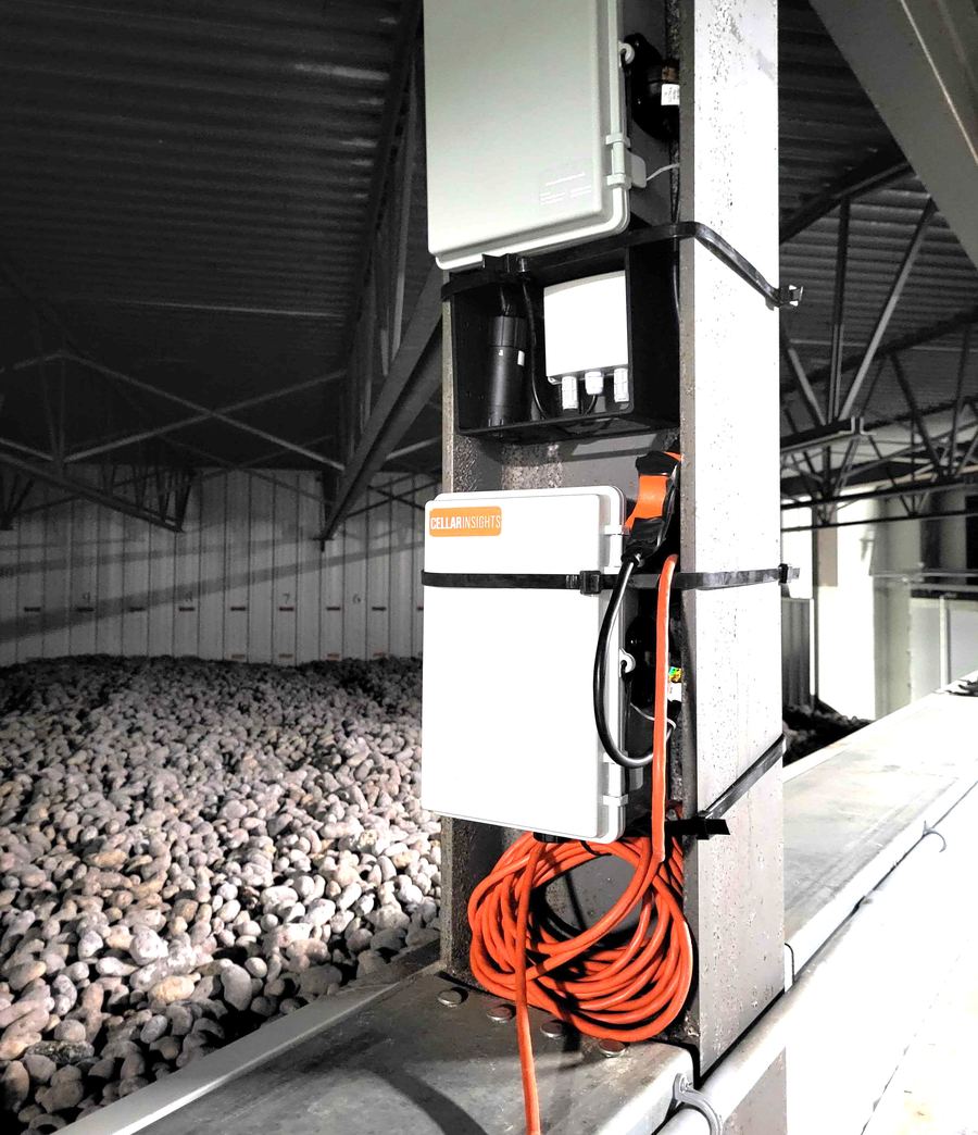Cellar Insights monitoring hardware mounted in a commercial potato storage facility above thousands of stored potatoes